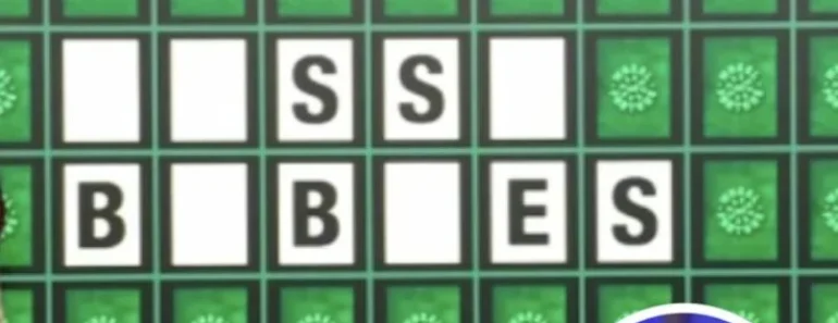 Wheel of Fortune’ Contestant’s Controversial Puzzle Answer Divides Fans